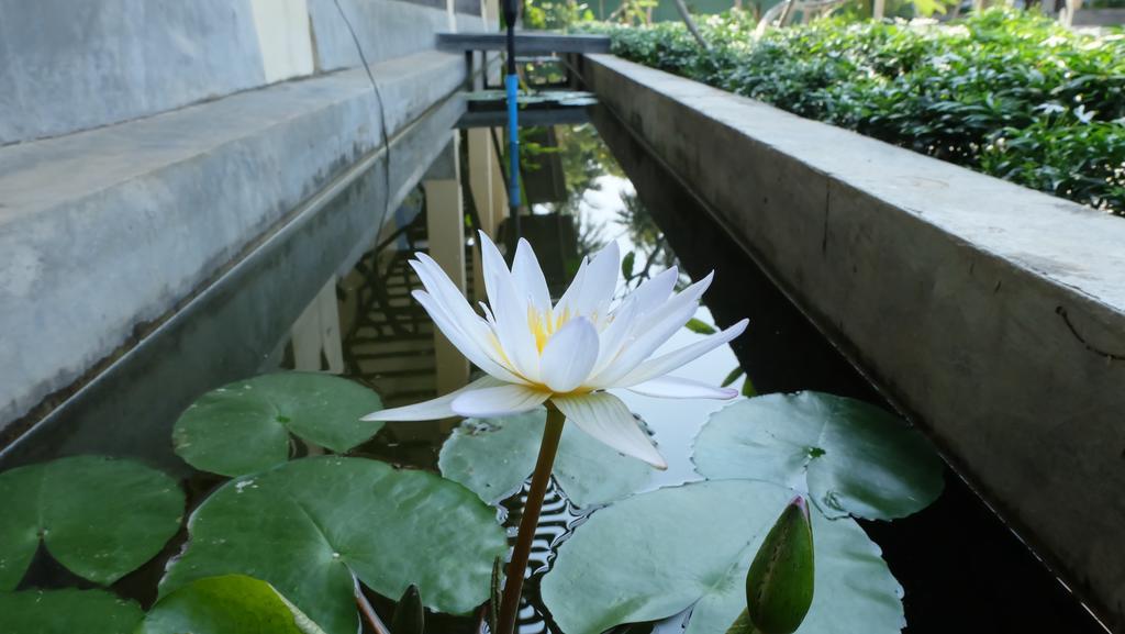 Lullaby Boutique Resort Thap Sakae Eksteriør bilde